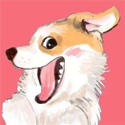 神秘天山手机版(暂未上线)v1.0.0 安卓版