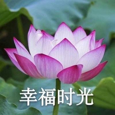 超凡三国斗游戏下载