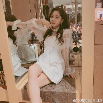 代号动物乱斗手机版下载